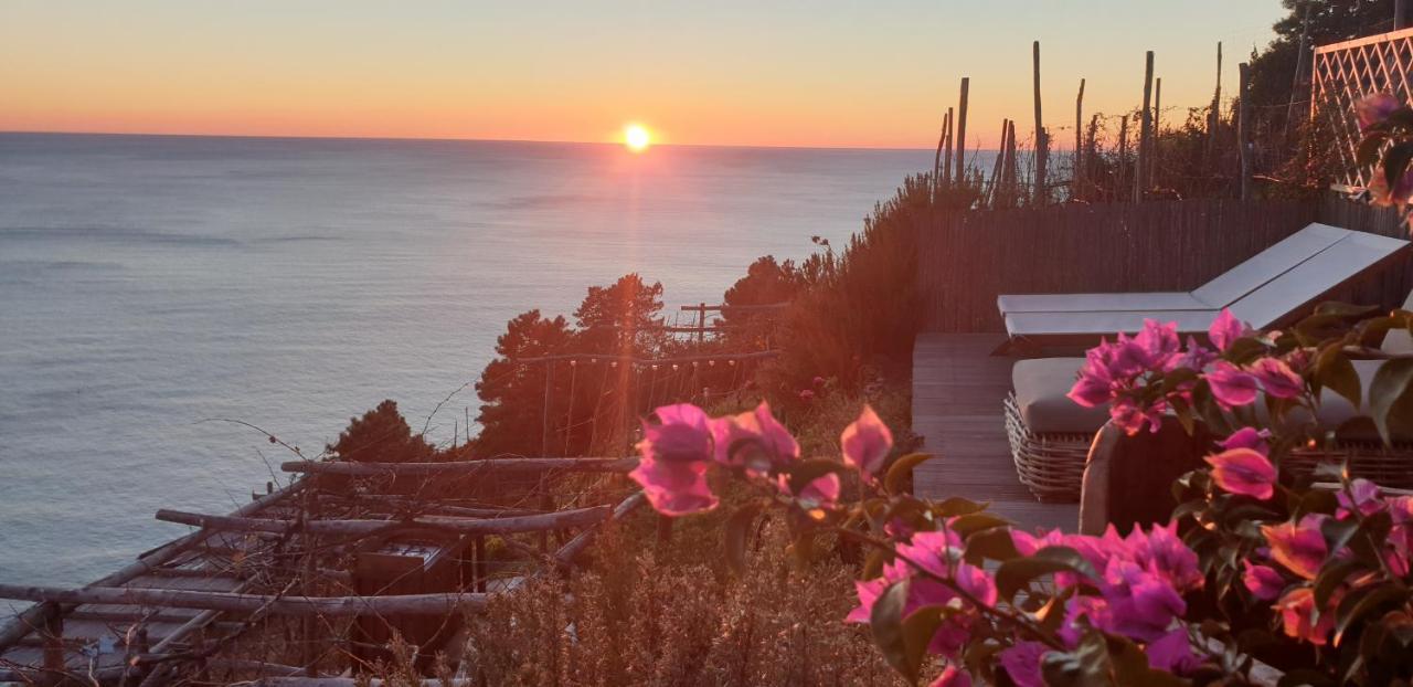 리오마기오레 Refuge Uwabio Organic Vineyard Cinqueterre 빌라 외부 사진