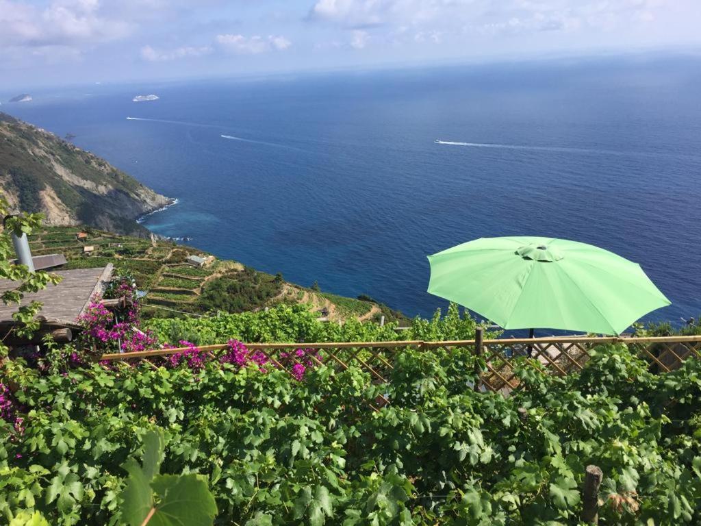 리오마기오레 Refuge Uwabio Organic Vineyard Cinqueterre 빌라 외부 사진