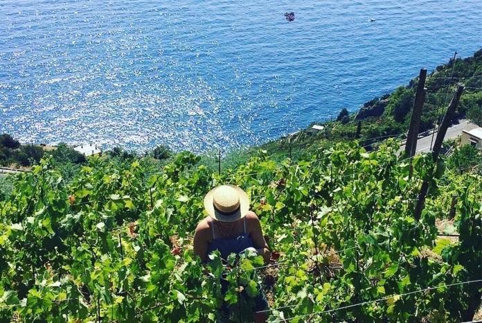 리오마기오레 Refuge Uwabio Organic Vineyard Cinqueterre 빌라 외부 사진
