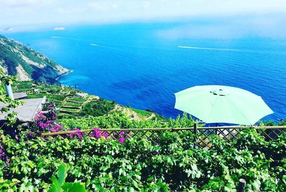 리오마기오레 Refuge Uwabio Organic Vineyard Cinqueterre 빌라 외부 사진