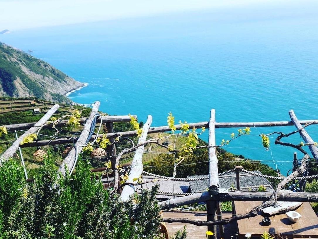 리오마기오레 Refuge Uwabio Organic Vineyard Cinqueterre 빌라 외부 사진