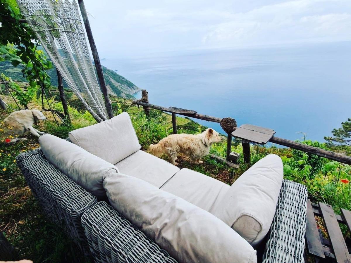 리오마기오레 Refuge Uwabio Organic Vineyard Cinqueterre 빌라 외부 사진